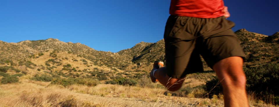 Ankle Problems Tendonitis Hamstring Strain